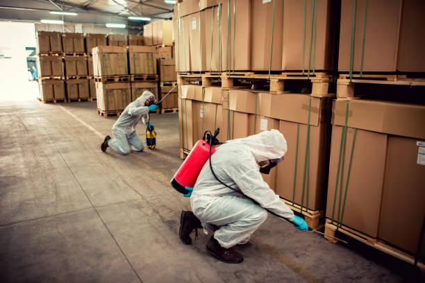 Best Pest Removal Services  in Taft Mosswood, CA