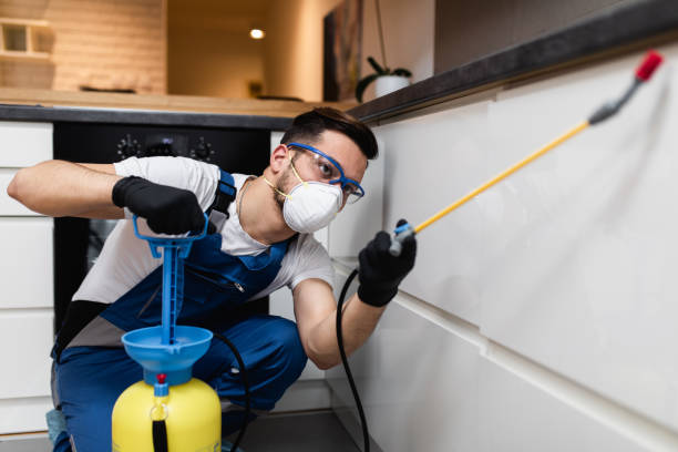 Best Best Pest Control Near Me  in Taft Mosswood, CA