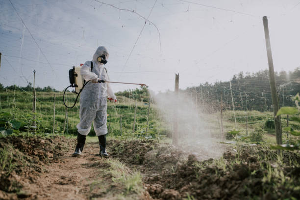 Best Mosquito Control Services  in Taft Mosswood, CA