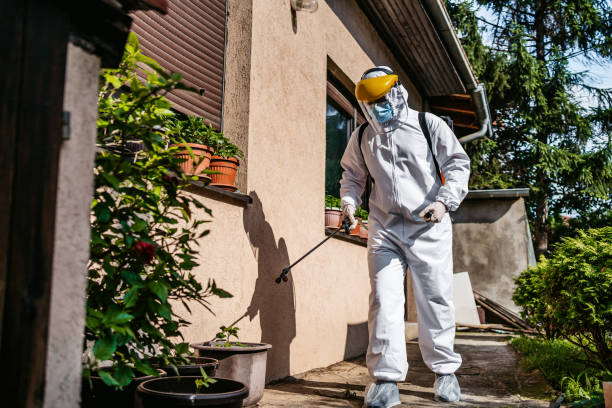 Best Flea Control Services  in Taft Mosswood, CA