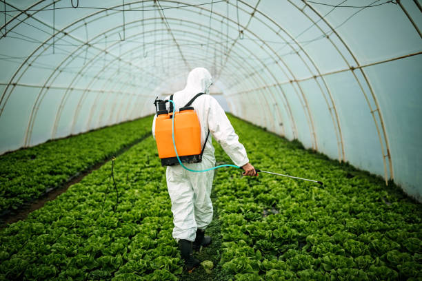Best Pest Inspection Near Me  in Taft Mosswood, CA