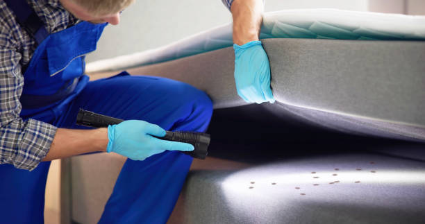 Best Exterminator Services  in Taft Mosswood, CA