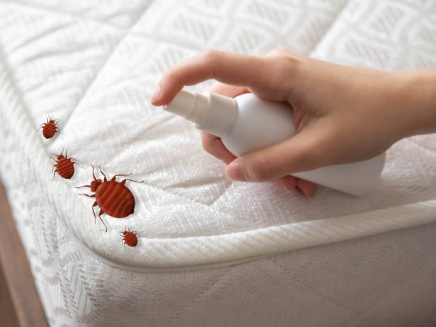  Taft Mosswood, CA Pest Control Pros