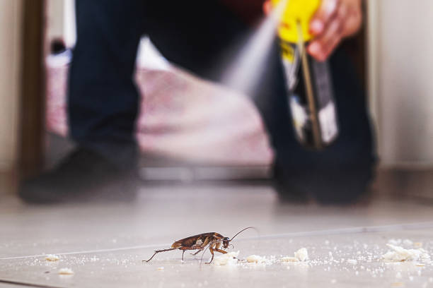 Best Residential Pest Control  in Taft Mosswood, CA